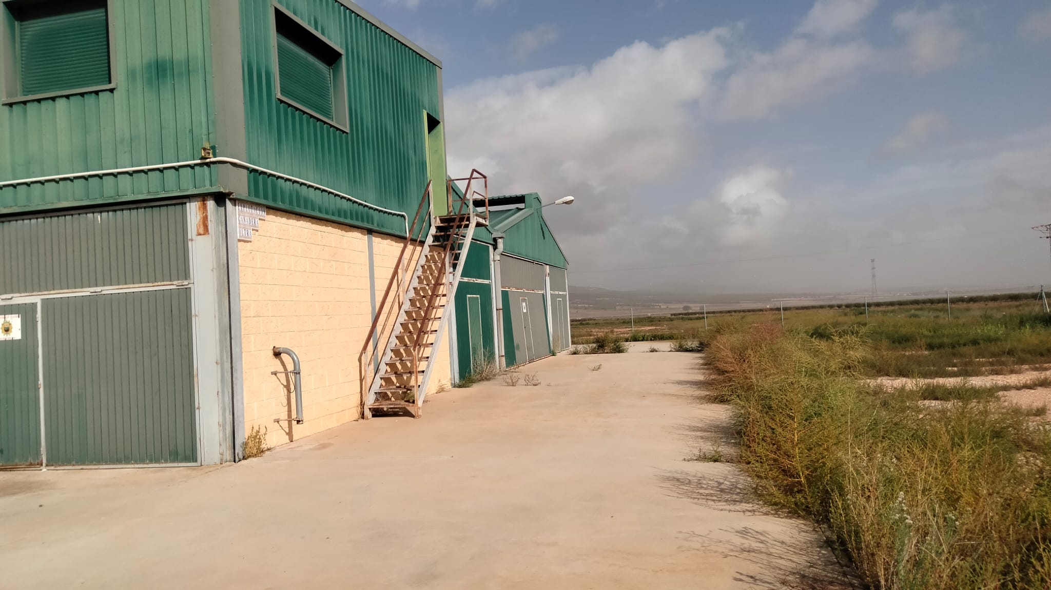 Terreno en Paraje casa de la Sima y el Rubial en Almansa (Albacete)