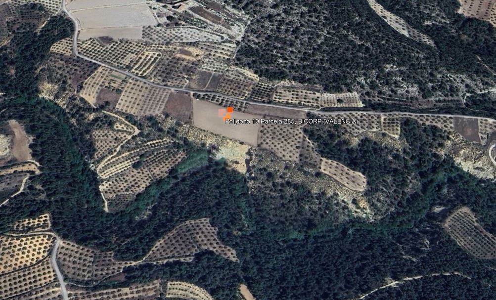 LOTE 2 Rustica de tierra regadio de olivos en Partida el Manal en Bicorp (Valencia)