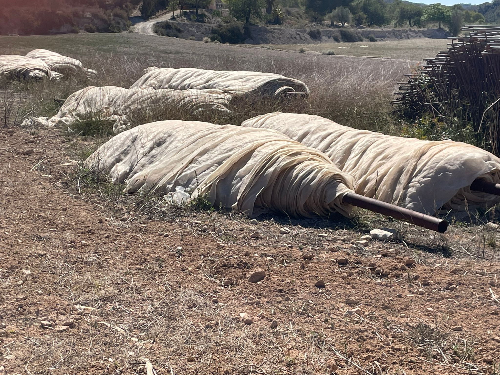 LOTE 4 de Inmovilizado QUESA