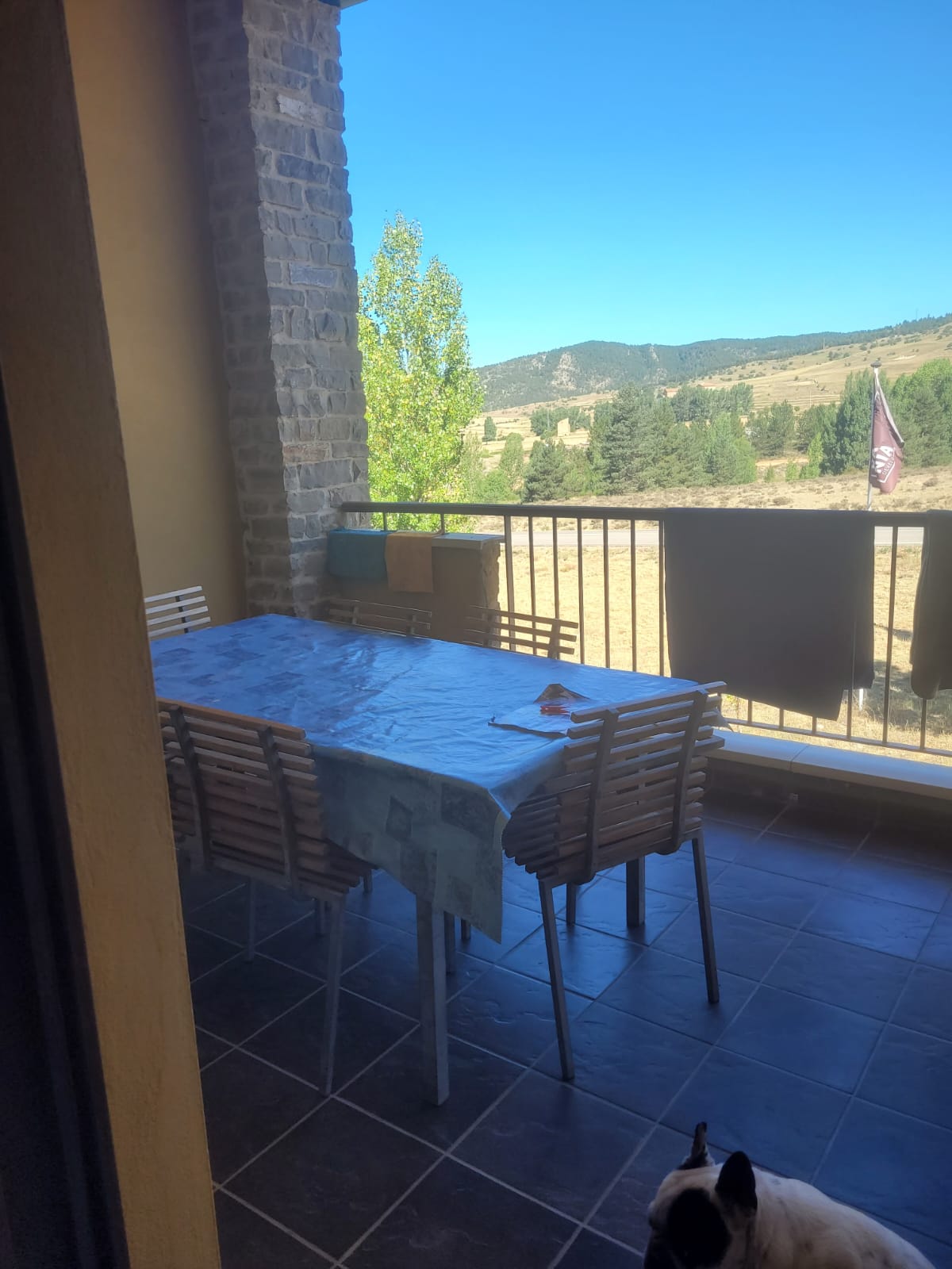 Lote de 3 fincas en Alcala de la Selva (Teruel)